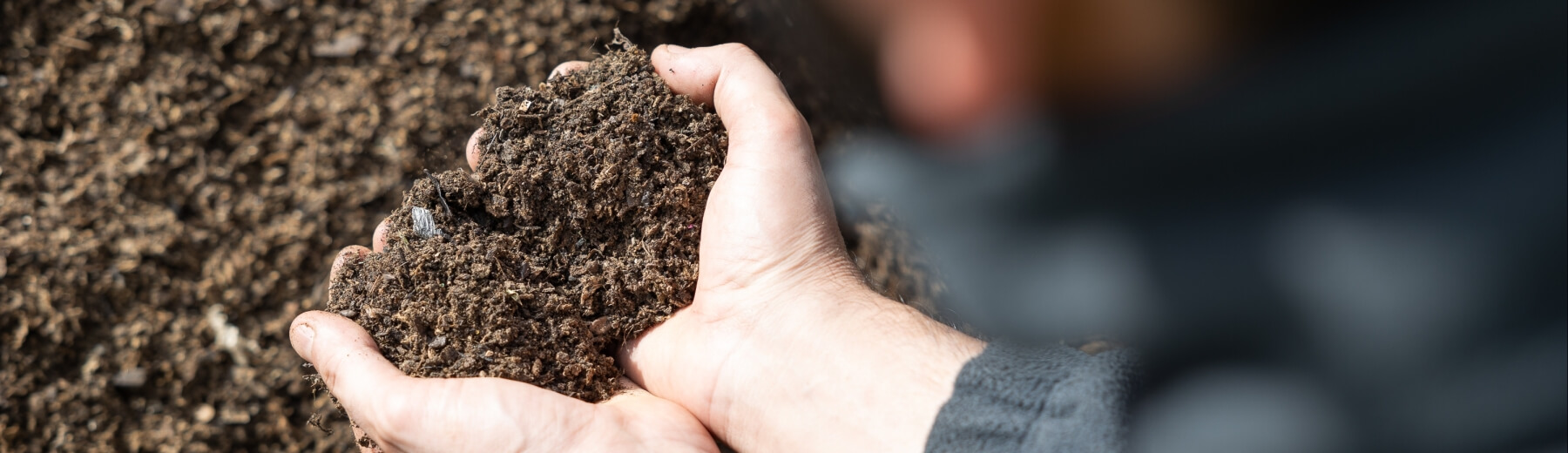 mani di una persona che raccolgono la terra